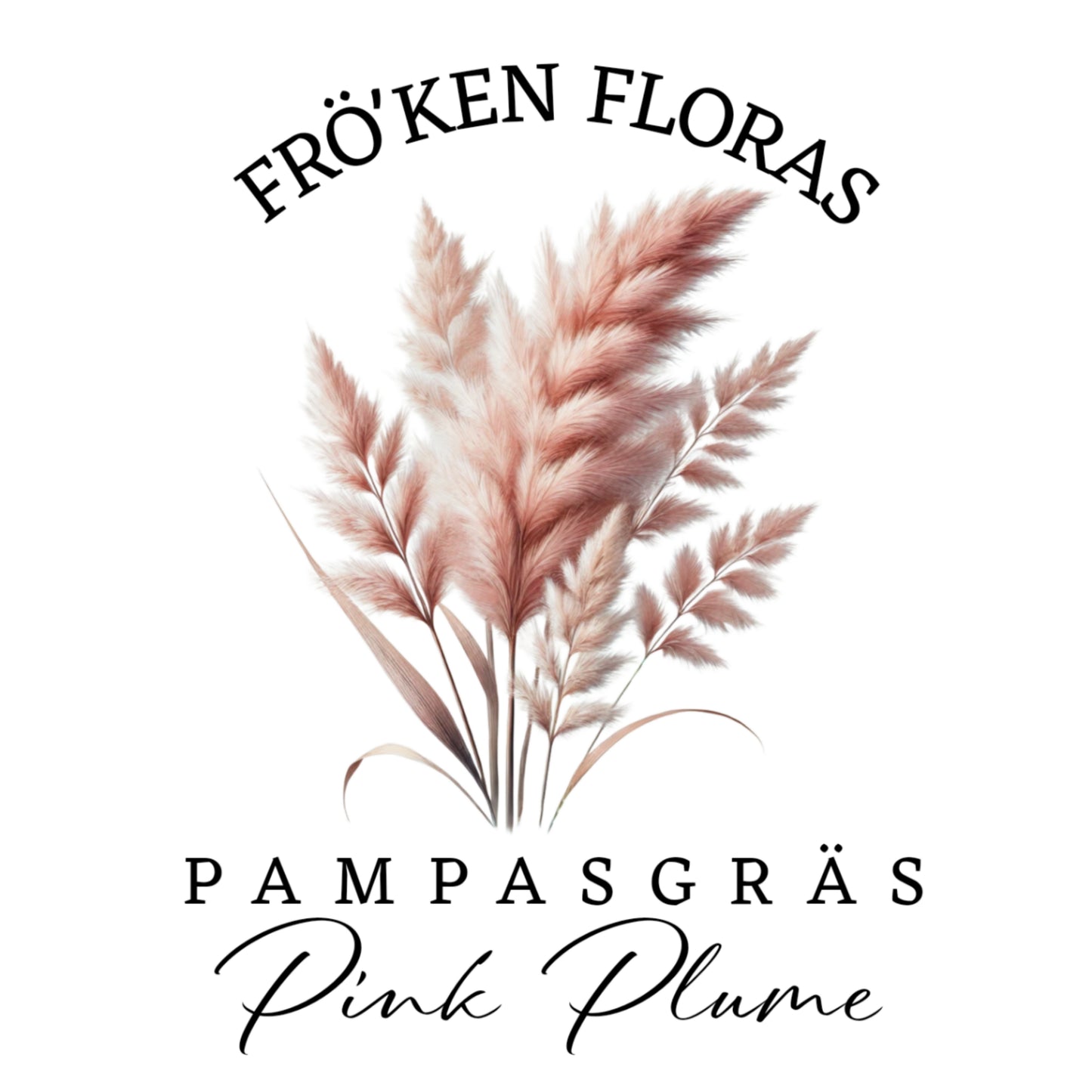 Pampas "Pink plume"