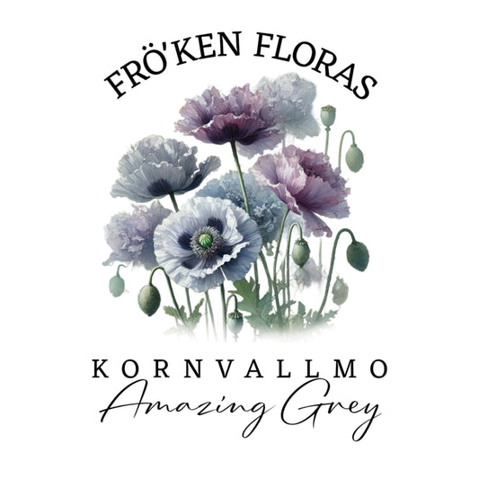 Kornvallmo "Amazing grey"