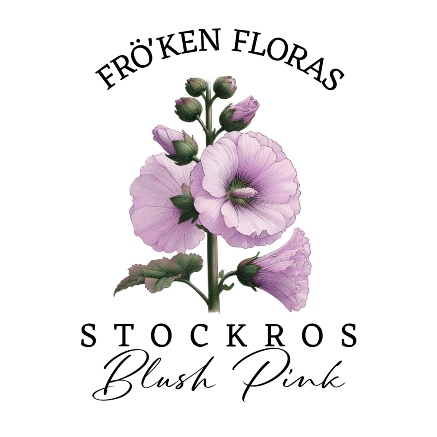 Stockros "Blush pink"