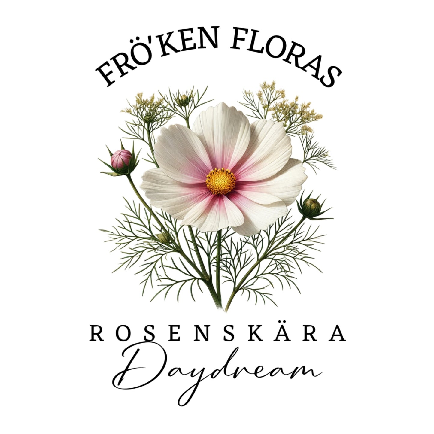 Rosenskära "Daydream"