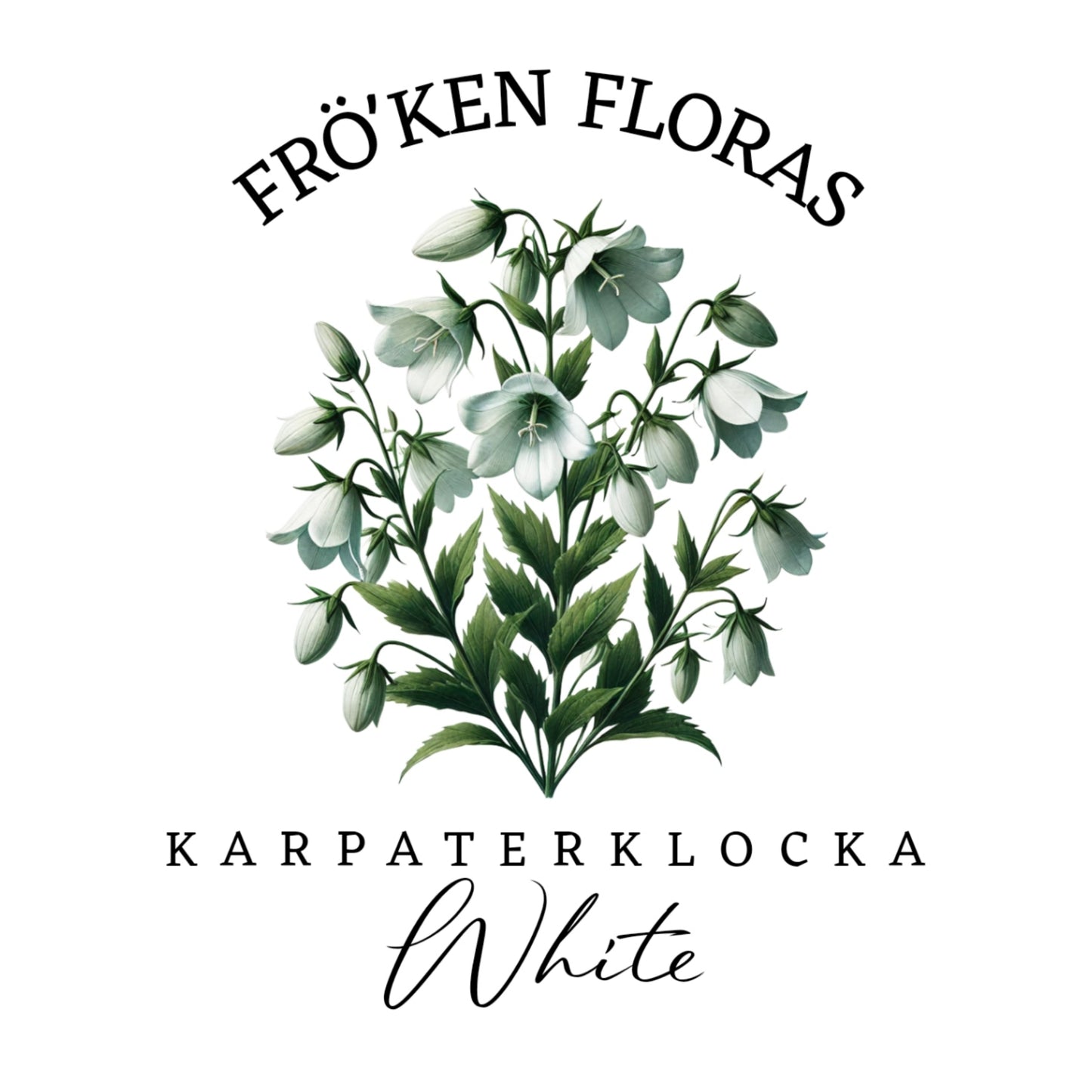 Karpaterklocka "White"