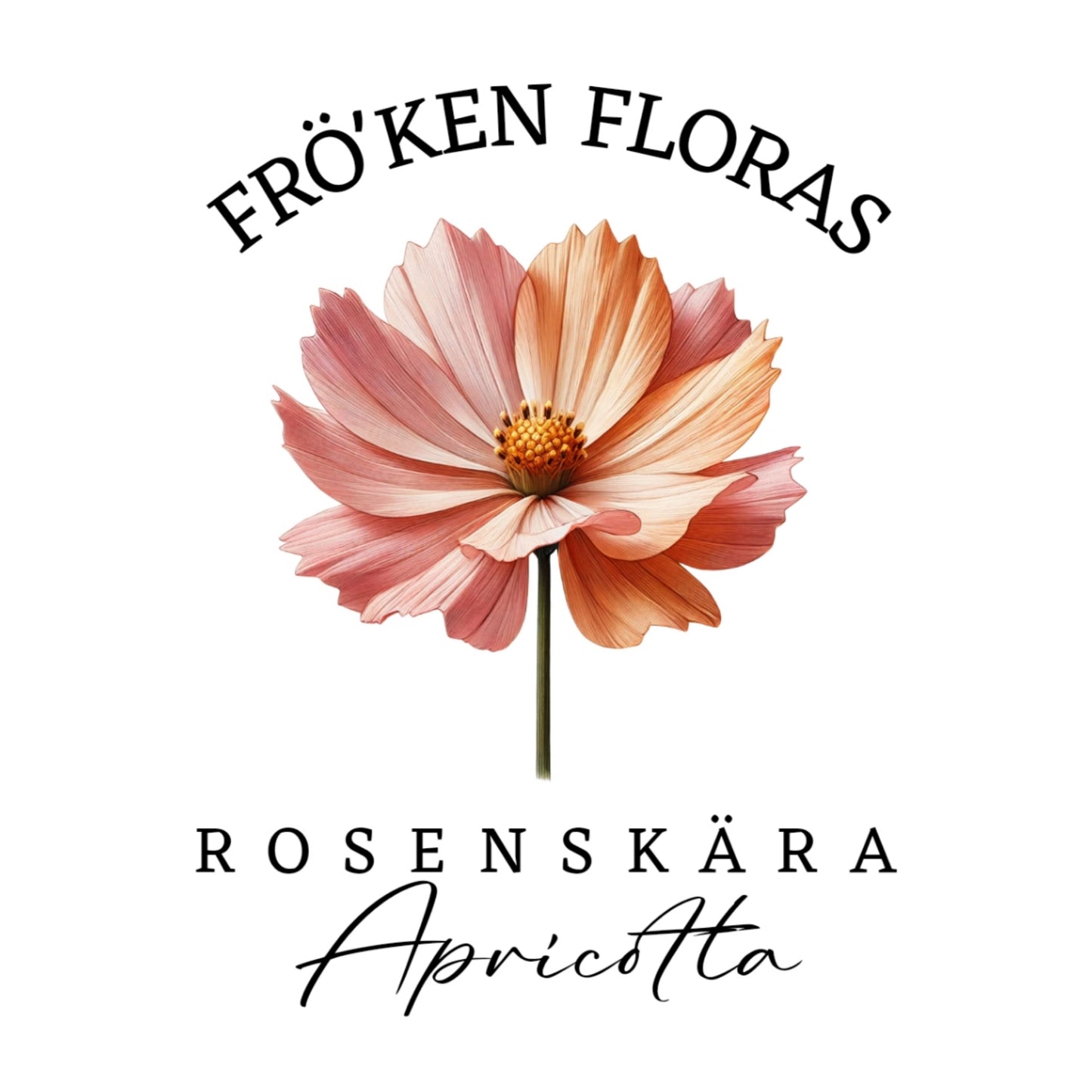 Rosenskära "apricotta"