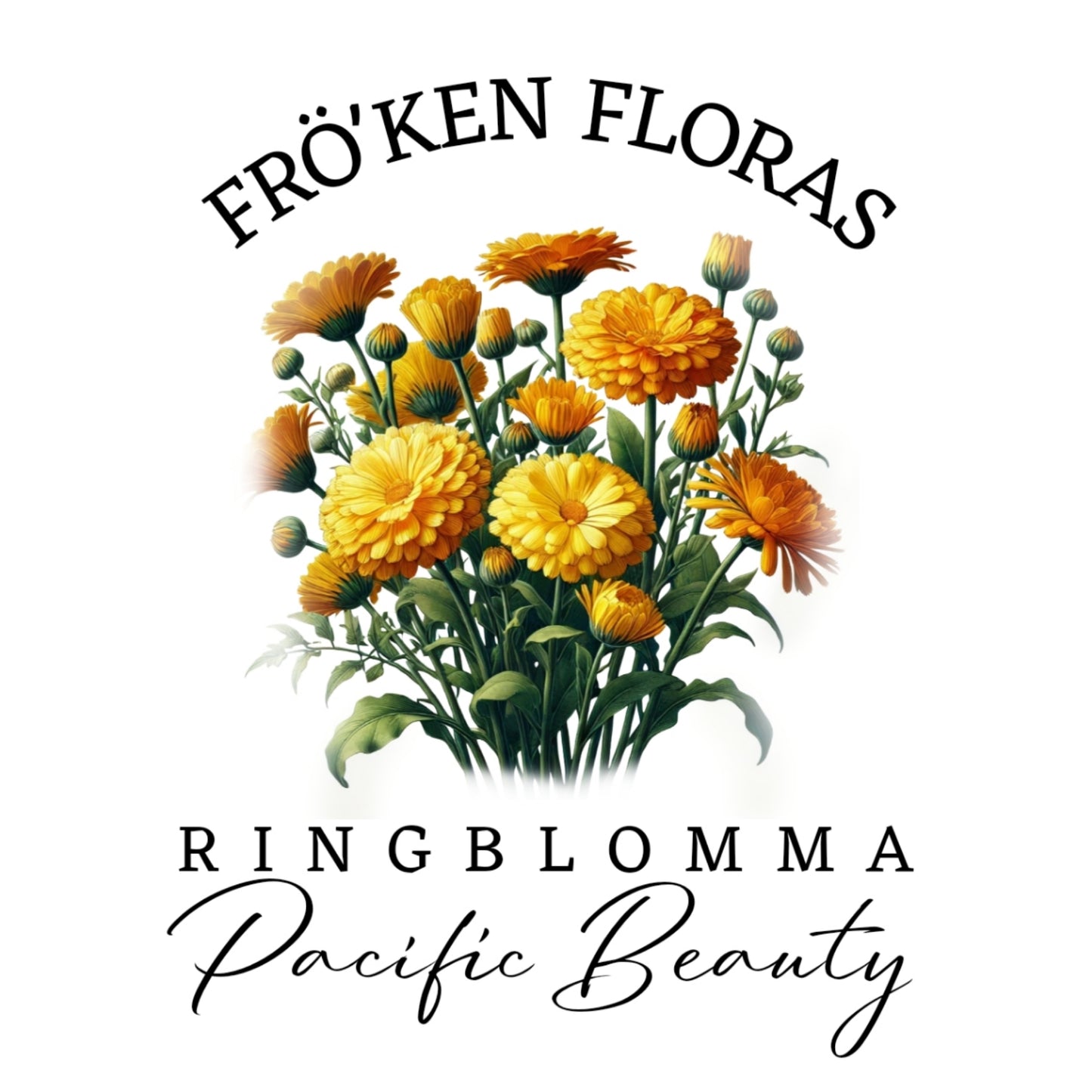 Ringblomma "Pacific beauty"