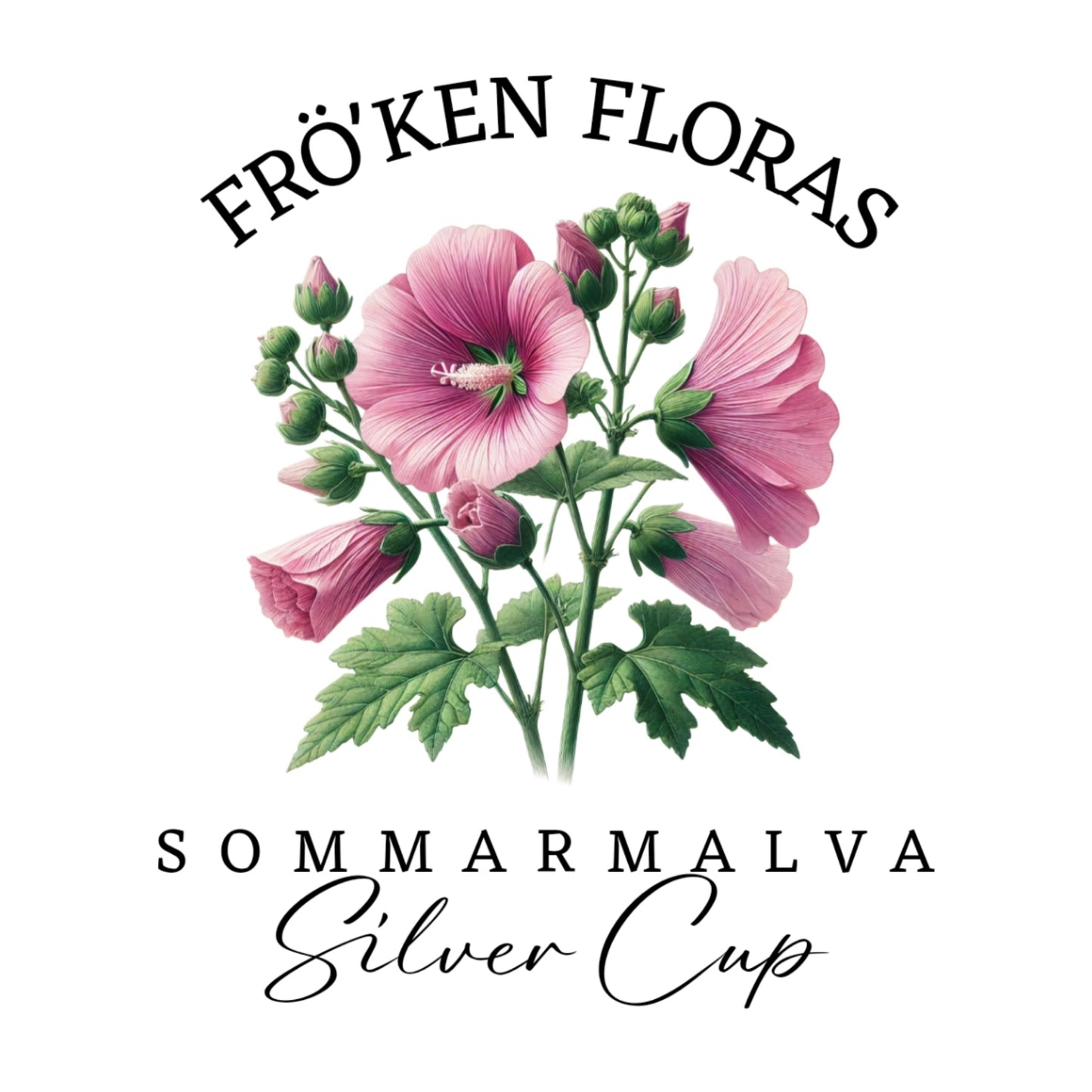 Sommarmalva "Silver cup"