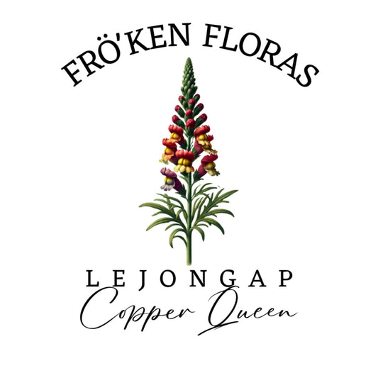 Lejongap "Copper queen"