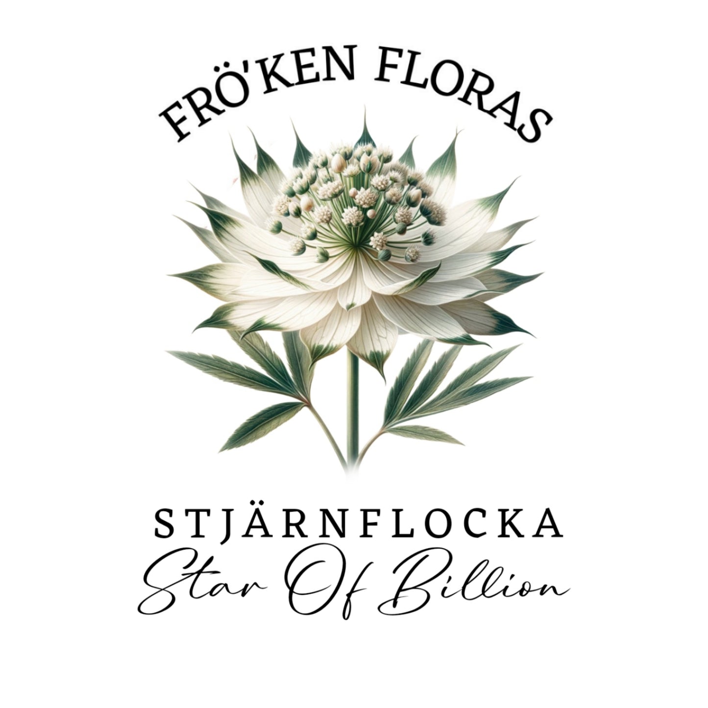 Stjärnflocka "Star of billion"