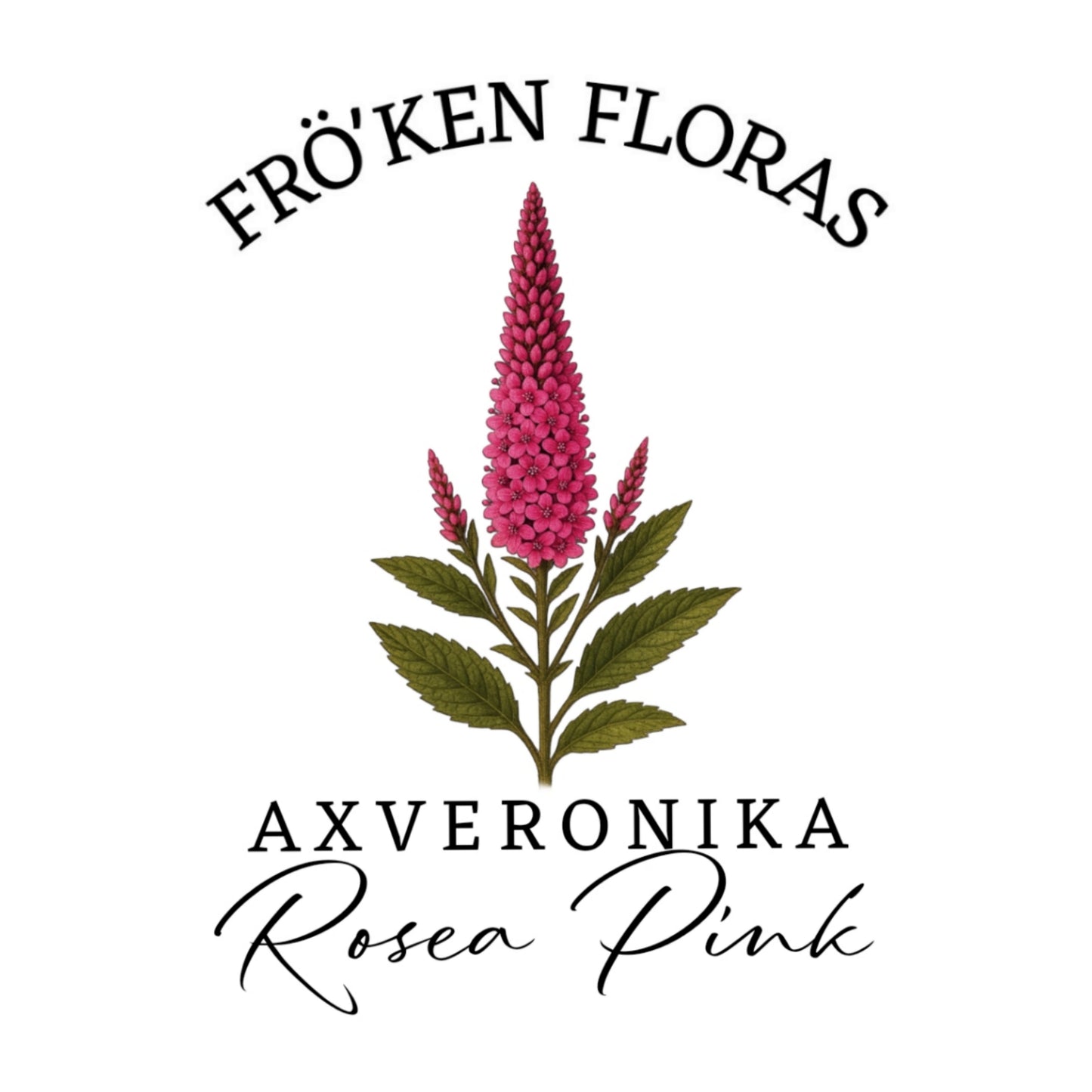 Axveronika "Rosea Pink"