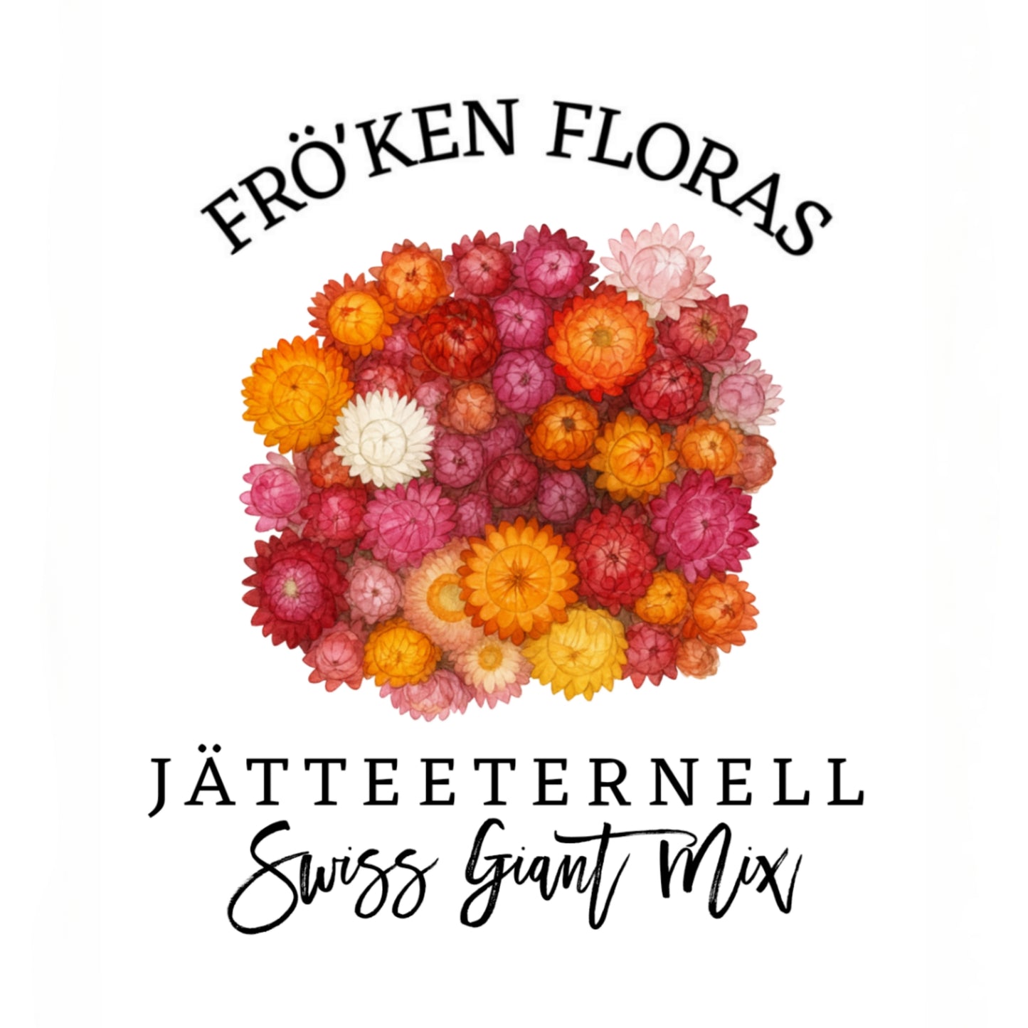 Jätteeternell "Swiss giant mix"