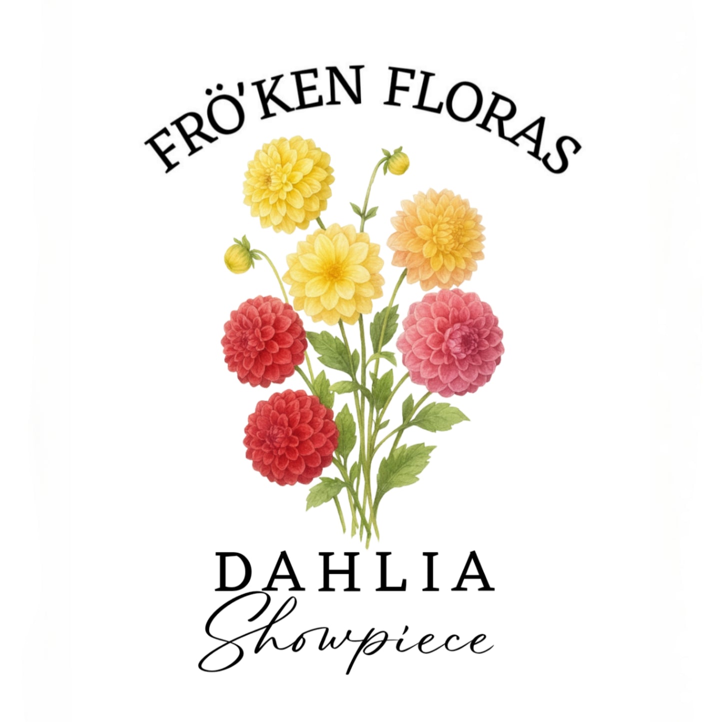 Dahlia mix "Showpiece"