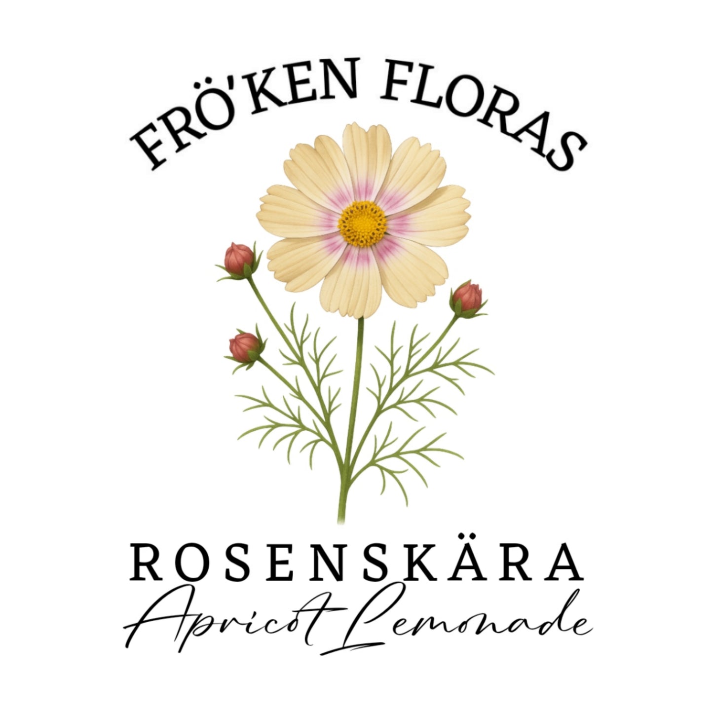 Rosenskära "Apricot lemonade"