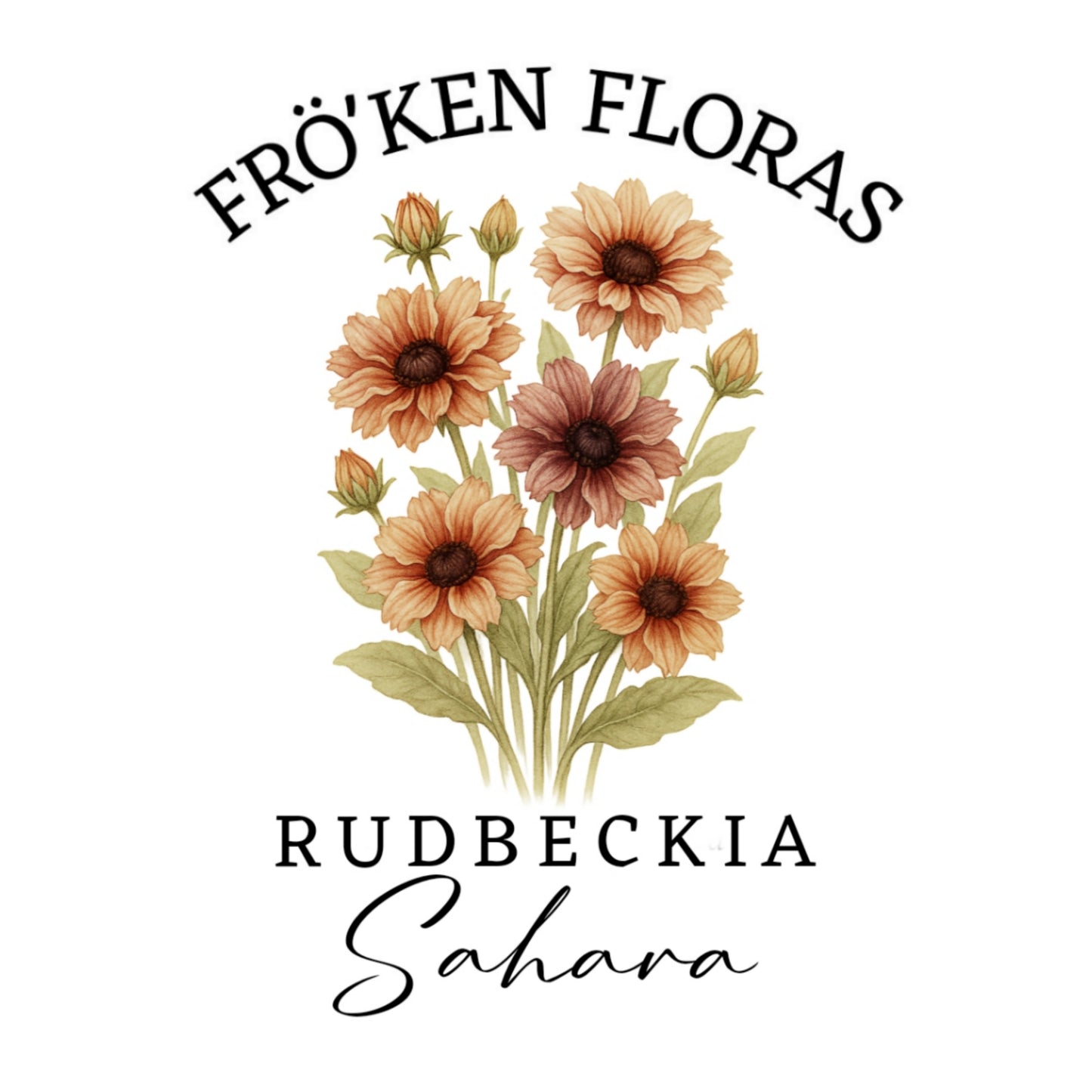 Rudbeckia "Sahara"