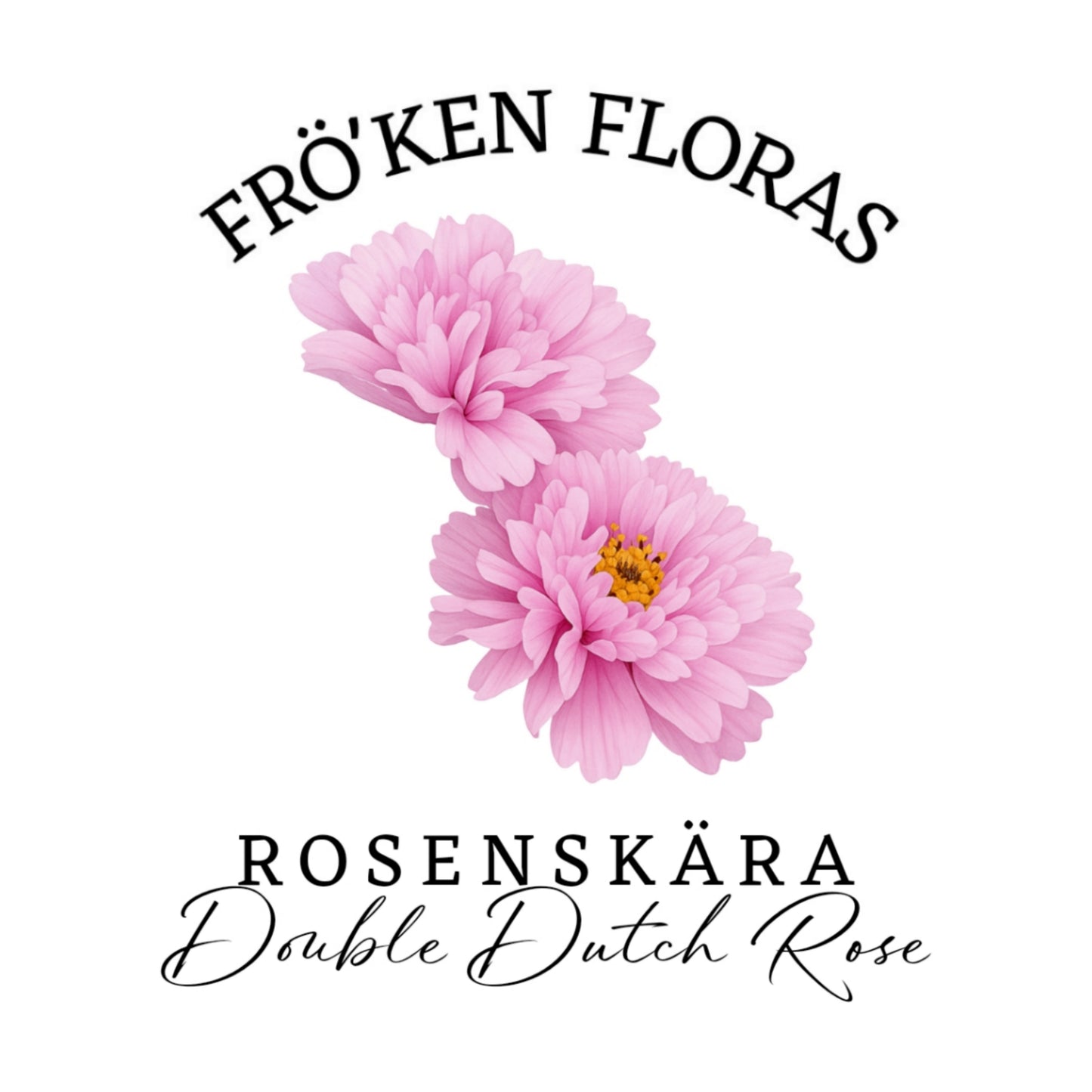 Rosenskära "Double dutch rose"
