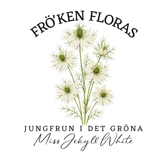 Jungfrun i det gröna "Miss jekyll white"
