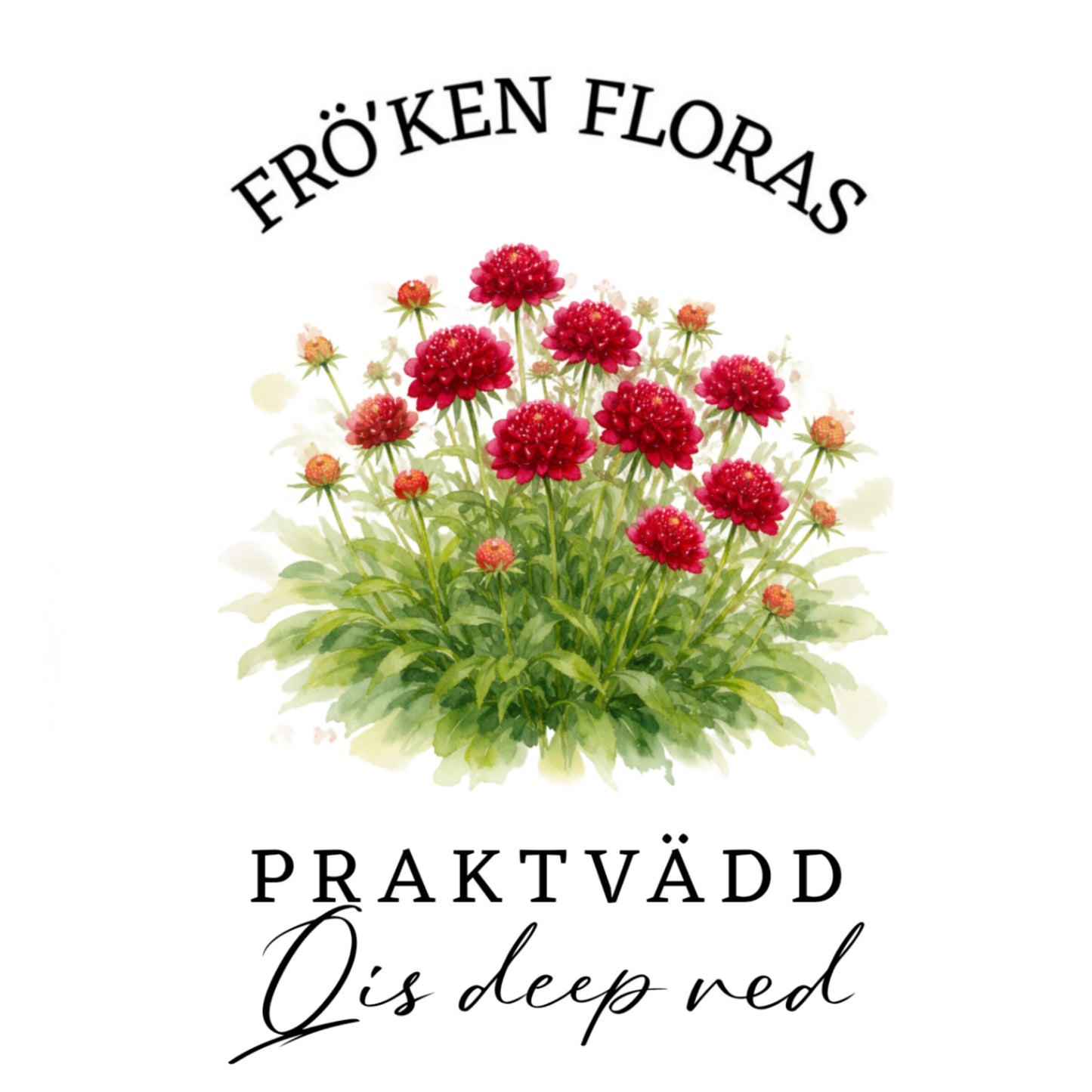 Sommarflox "Qis deep red"