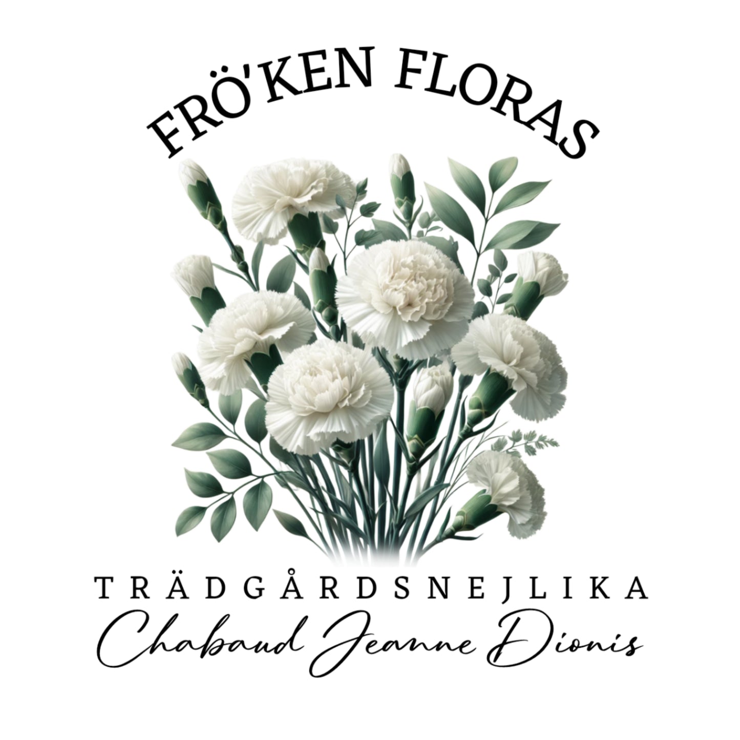 Trädgårdsnejlika "Chabaud Jeanne Dionis White"