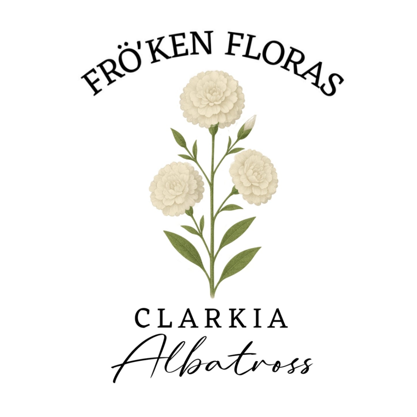 Clarkia "Albatross"