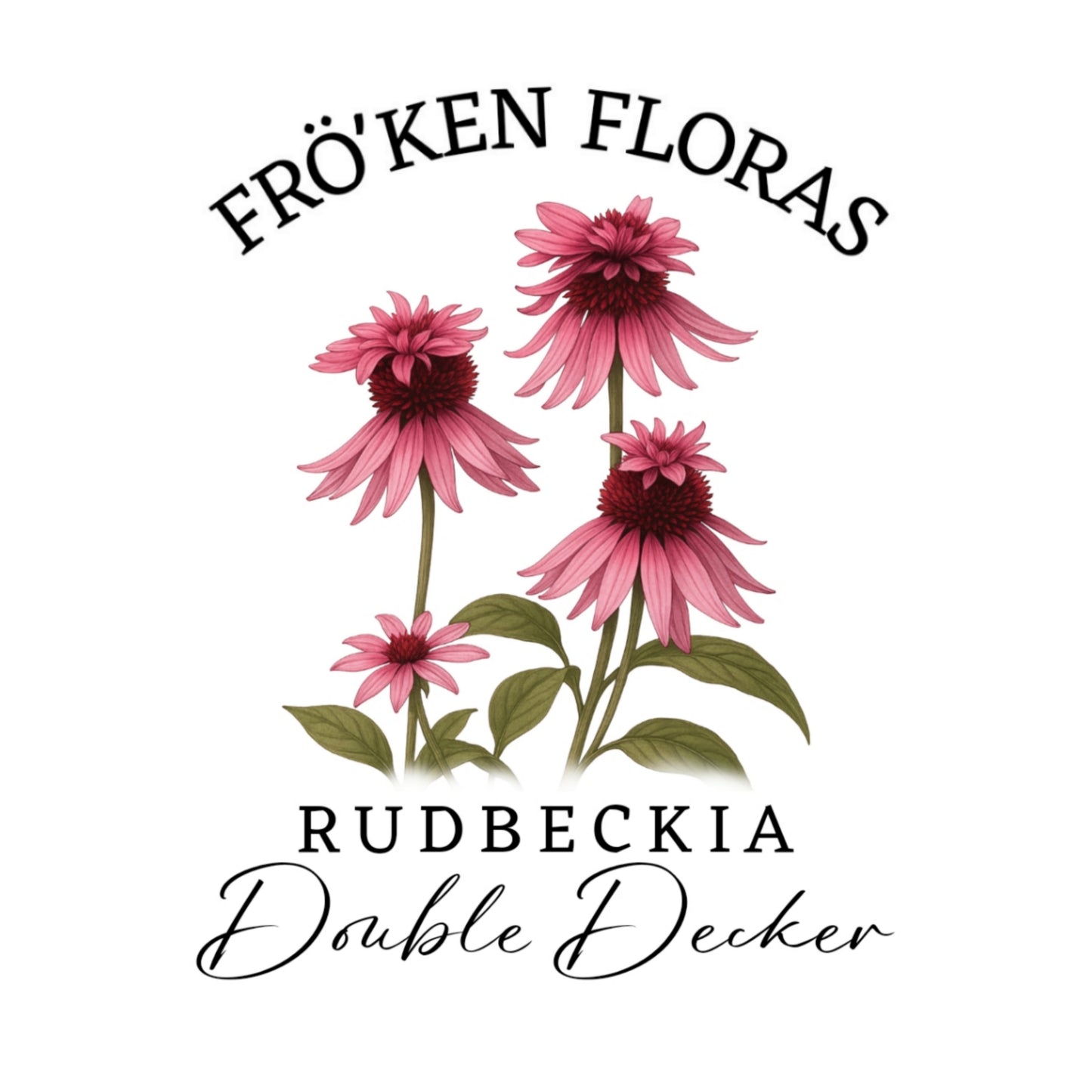 Rudbeckia "Double decker"