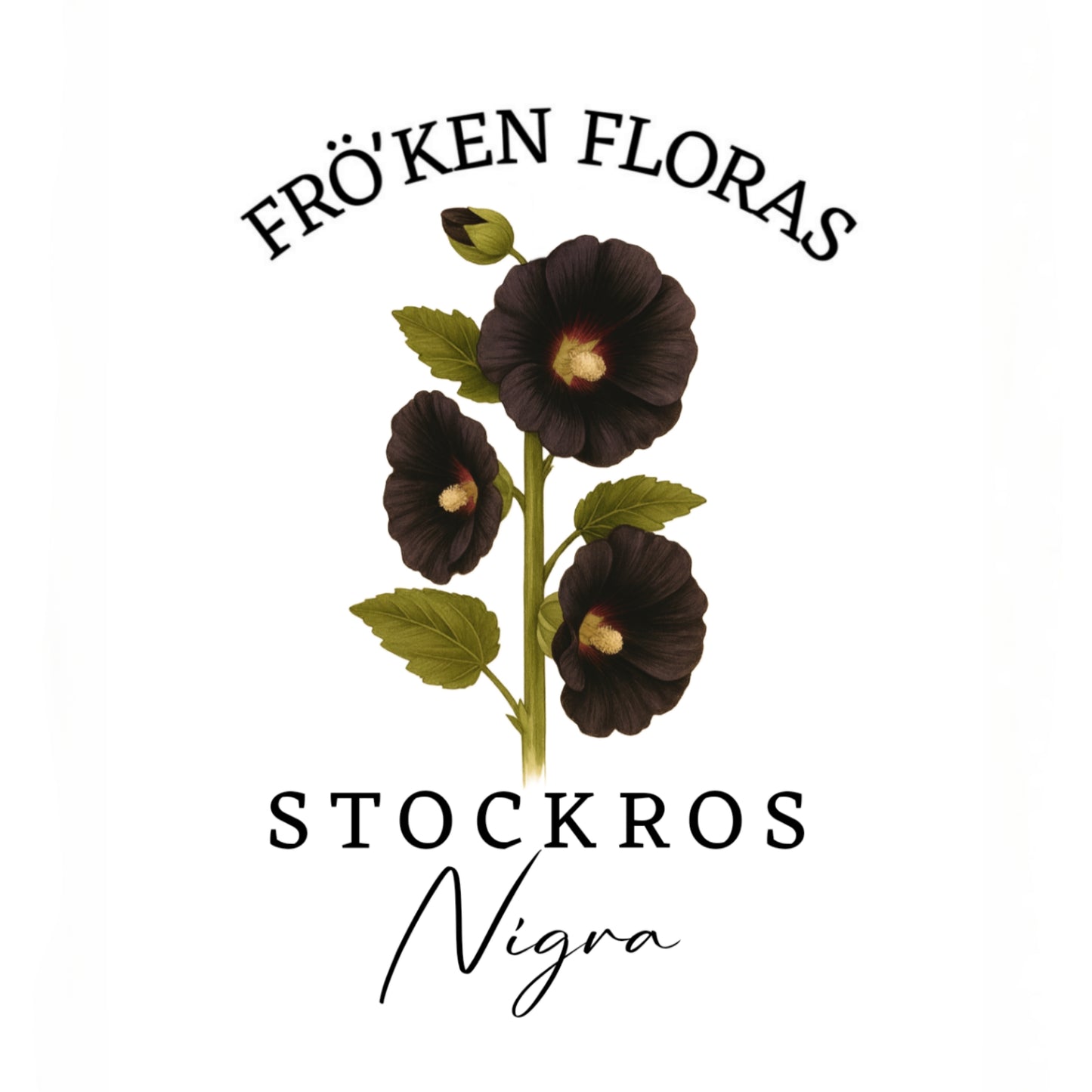 Stockros "Nigra"