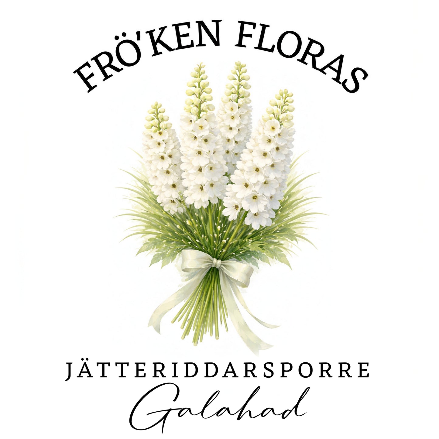 KOMMER SNART! Jätteriddarsporre "Galahad"
