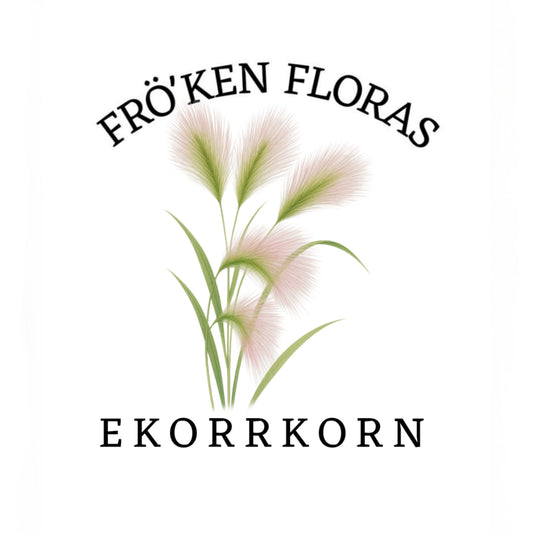 Ekorrkorn "Rosa"
