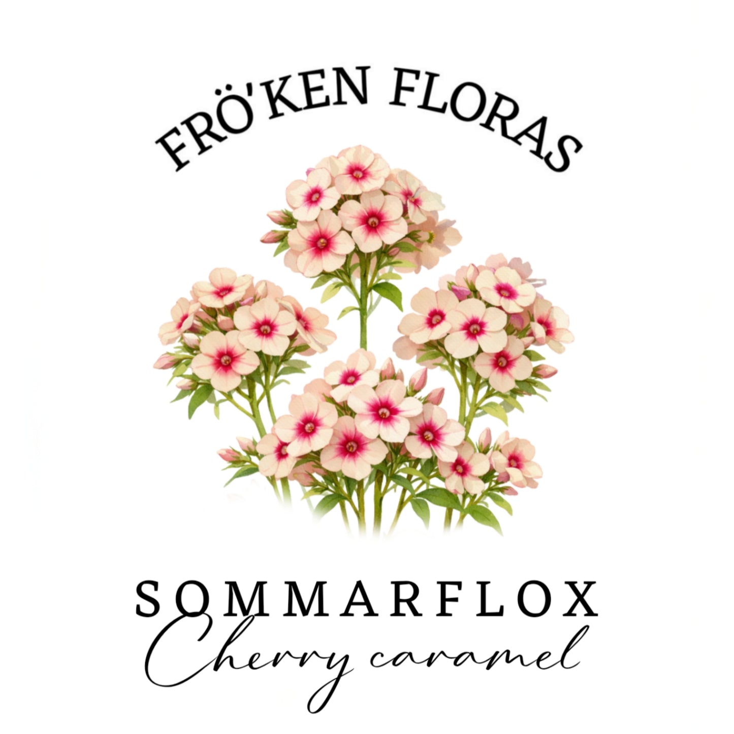 Sommarflox "Cherry caramel"