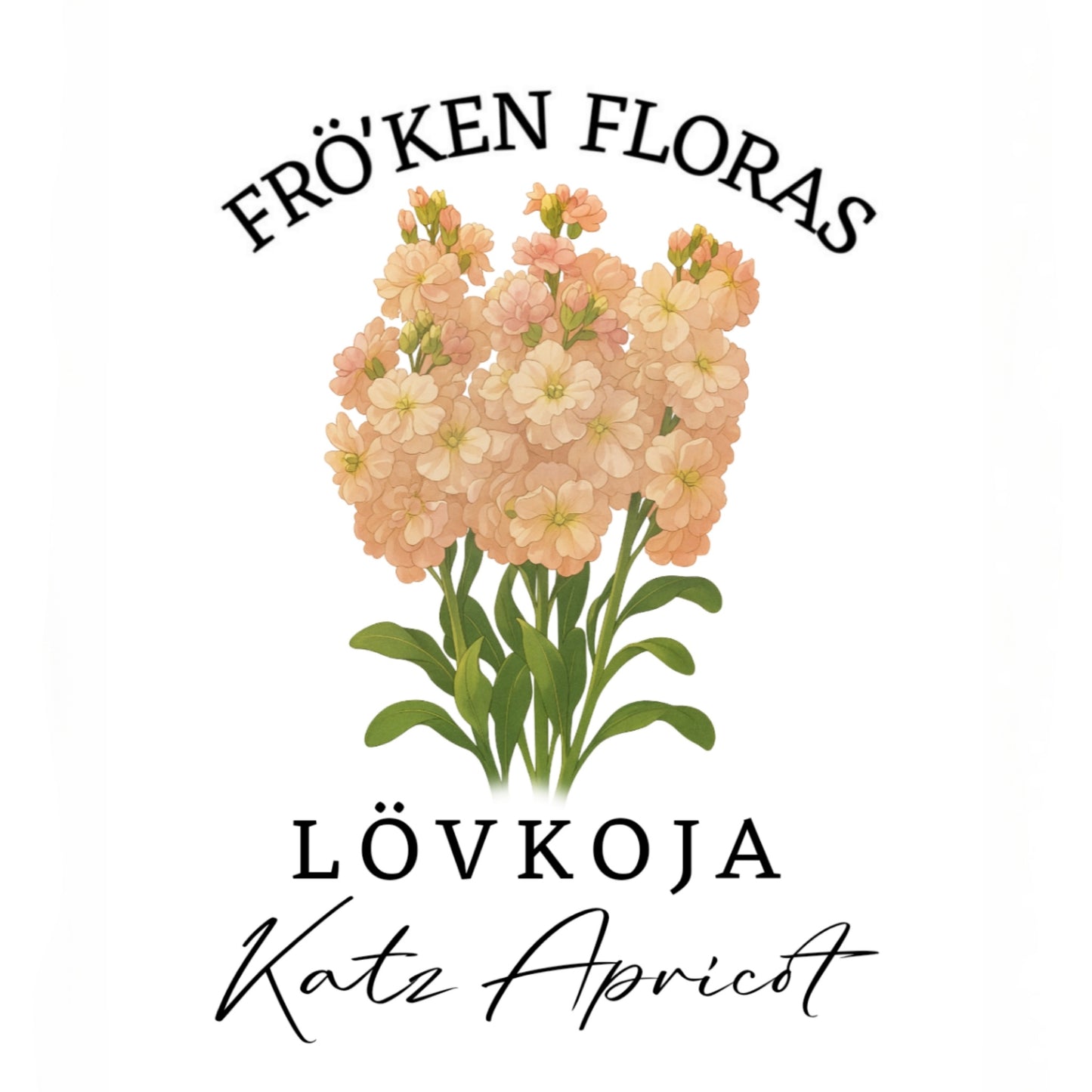 Lövkoja "Katz apricot"