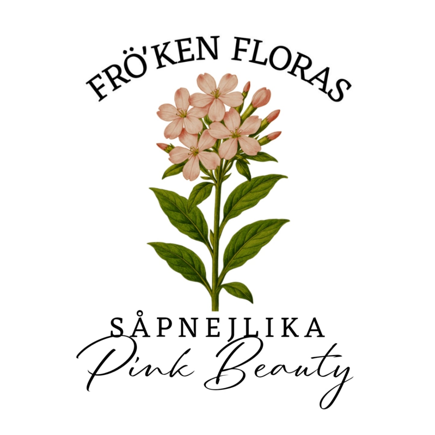 Såpnejlika "Pink Beauty"