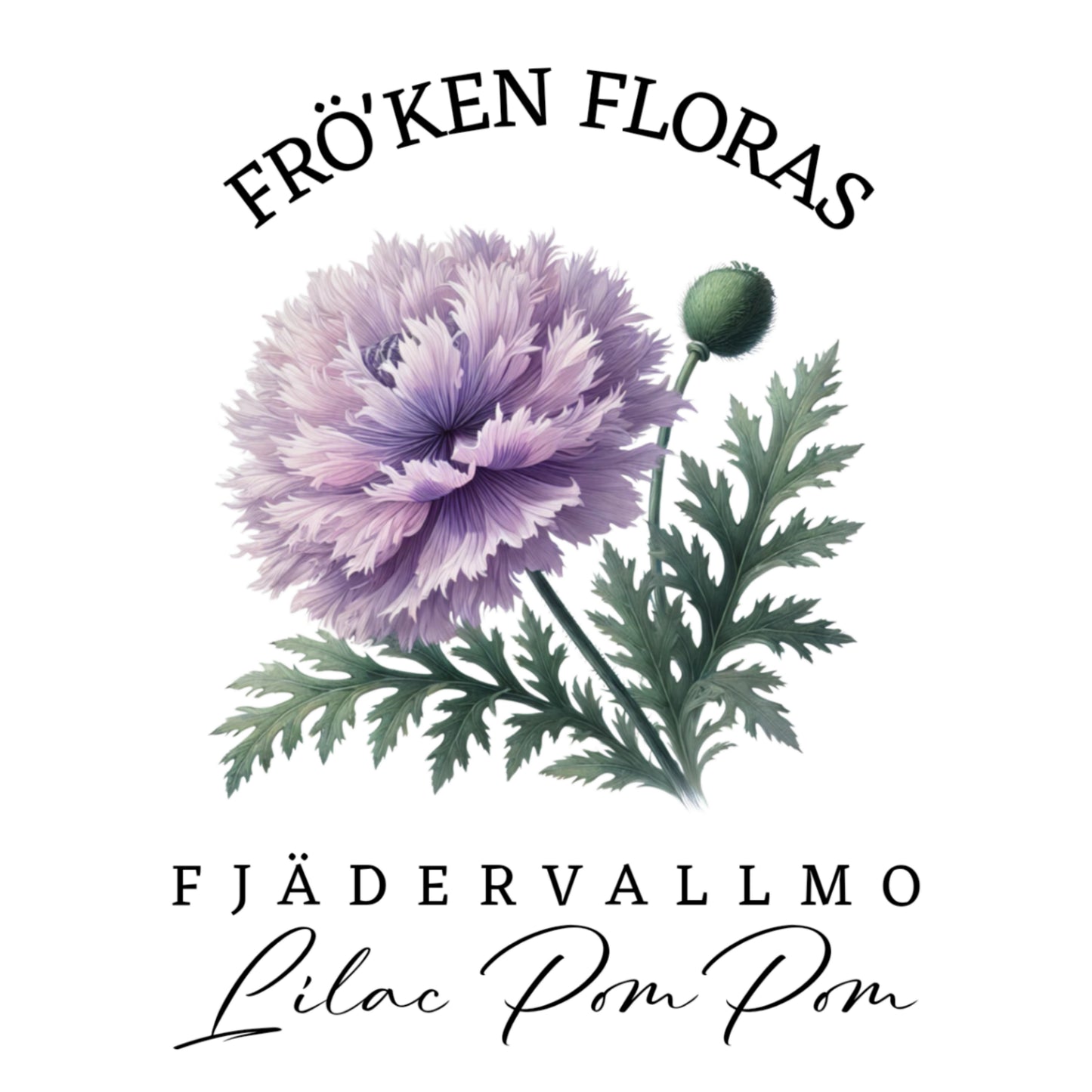 Fjädervallmo "Lilac pompom"