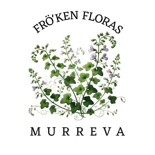 Murreva