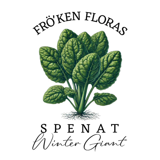 Spenat "Winter Giant"