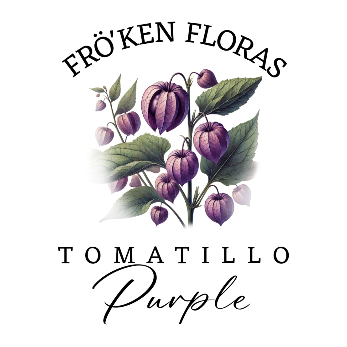 Tomatillo "Purple"