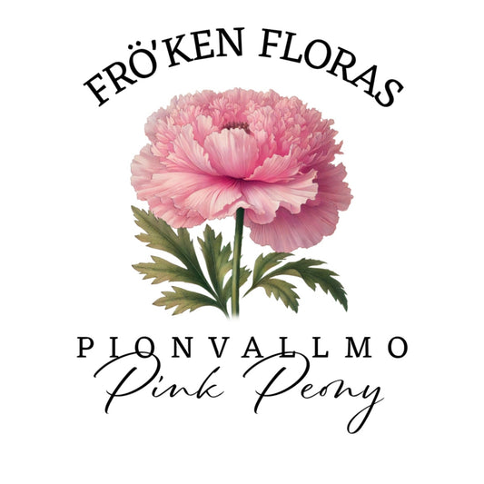 Pionvallmo "Pink peony"