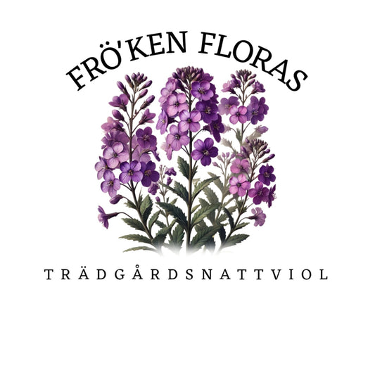 Trädgårdsnattviol