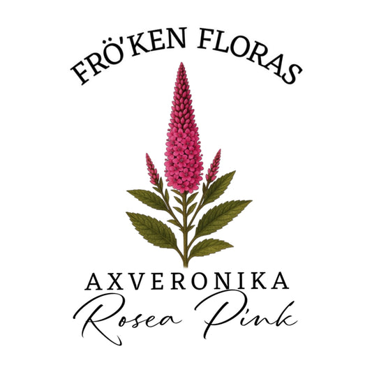 Axveronika "Rosea Pink"