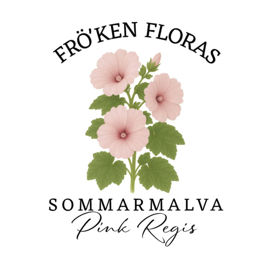 Sommarmalva "Pink regis"