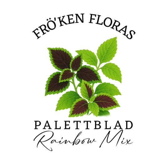 Palettblad "Rainbow mix"