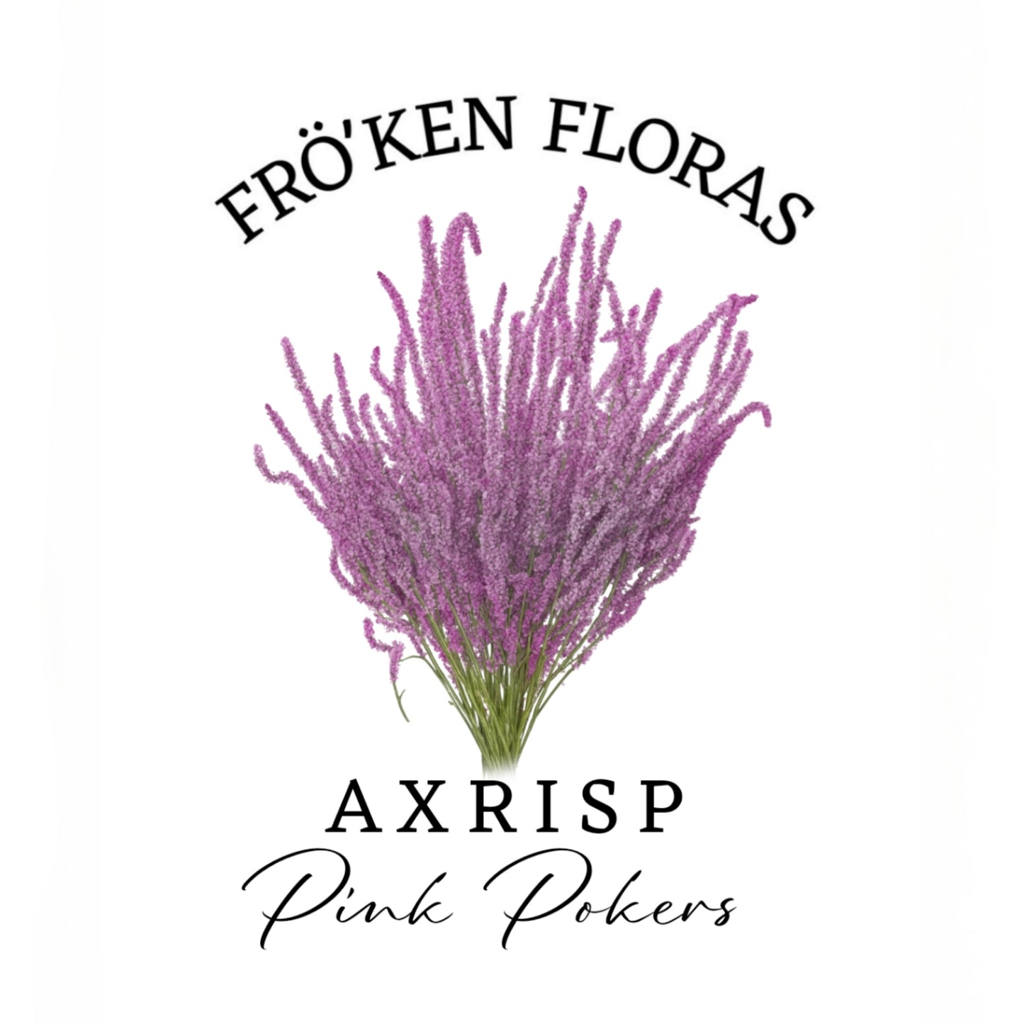 Axrisp "Pink pokers"