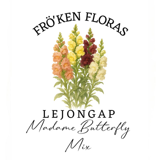 Lejongap "Madame Butterfly" mix F1