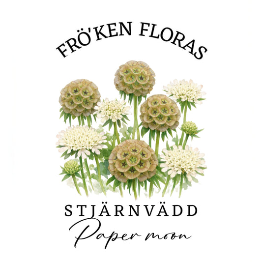 Stjärnvädd "Paper moon"