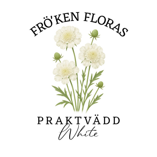 Praktvädd "White"