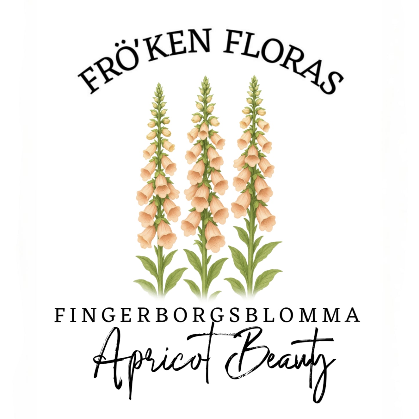 Fingerborgsblomma "Apricot beauty"