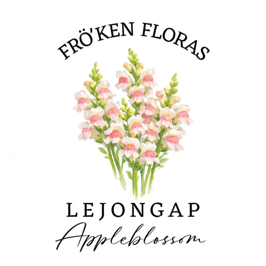 Lejongap "Appleblossom"