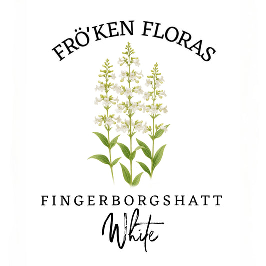 Fingerborgshatt "White"