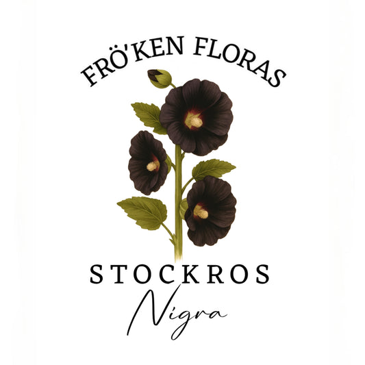 Stockros "Nigra"