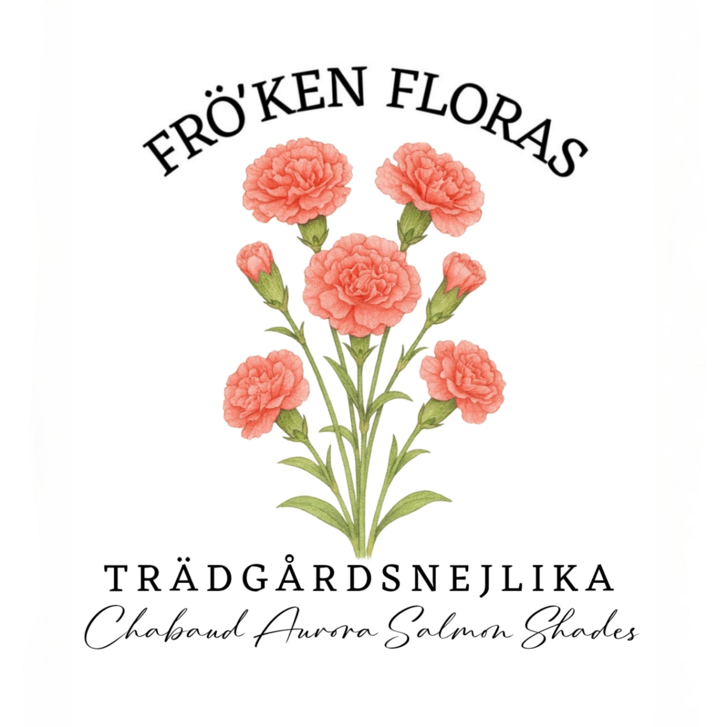 Trädgårdsnejlika "Chabaud aurora salmon shades"