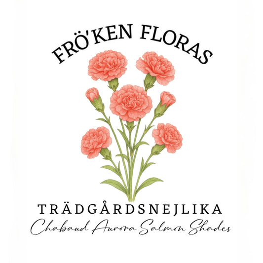 Trädgårdsnejlika "Chabaud aurora salmon shades"