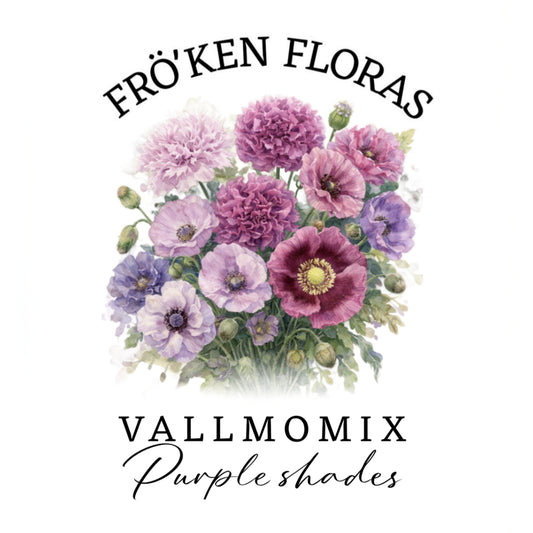 Vallmomix "Purple shades"