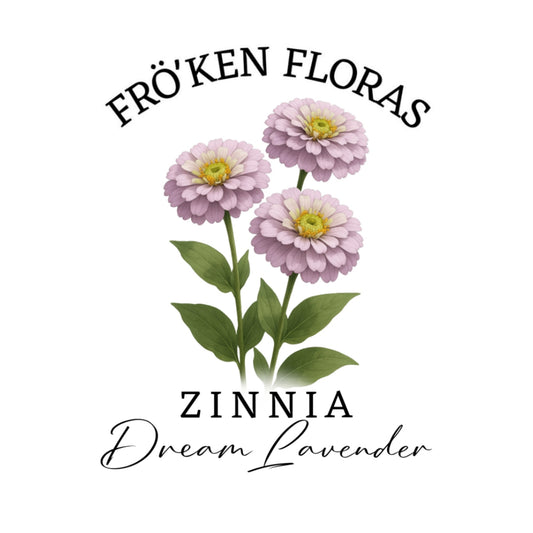 Zinnia "Dream lavender"