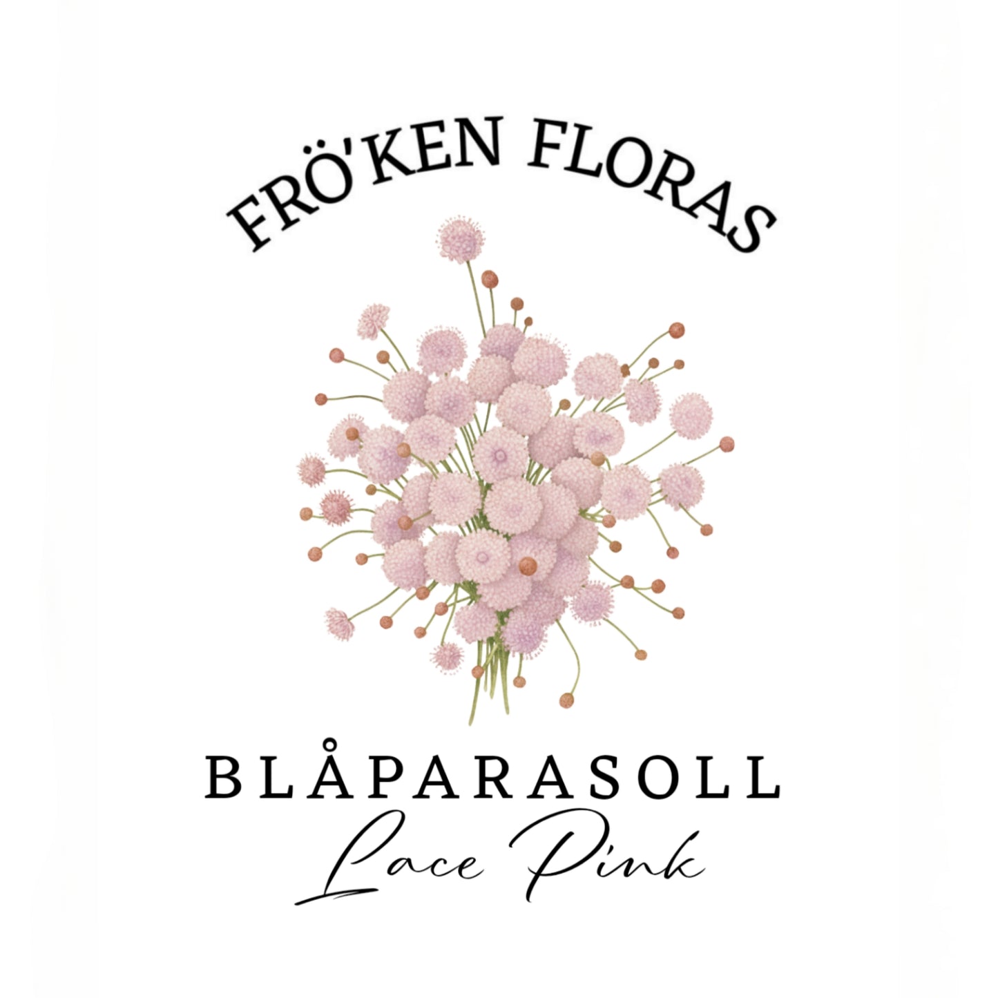 Blåparasoll "Lace pink"