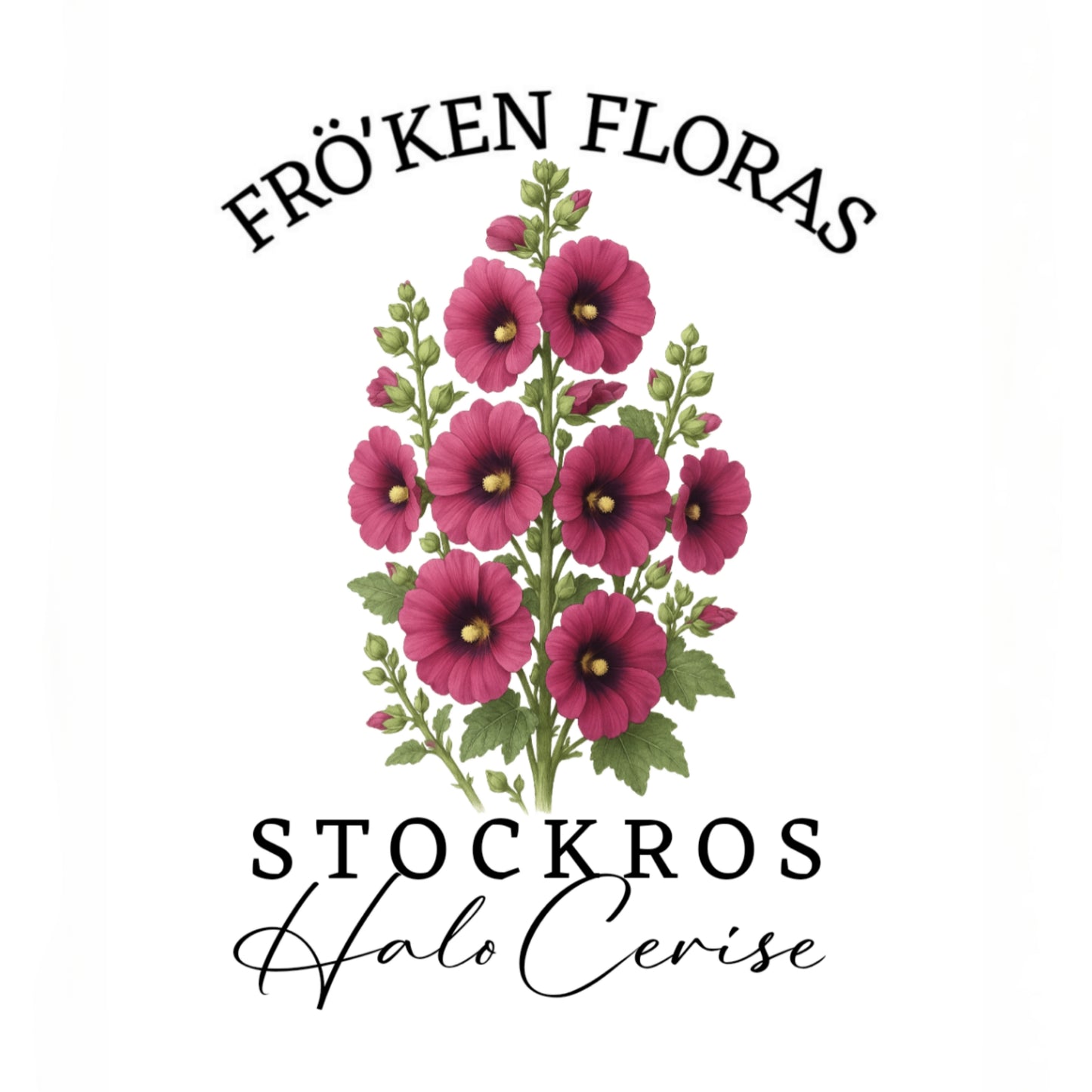 Stockros "Halo cerise"